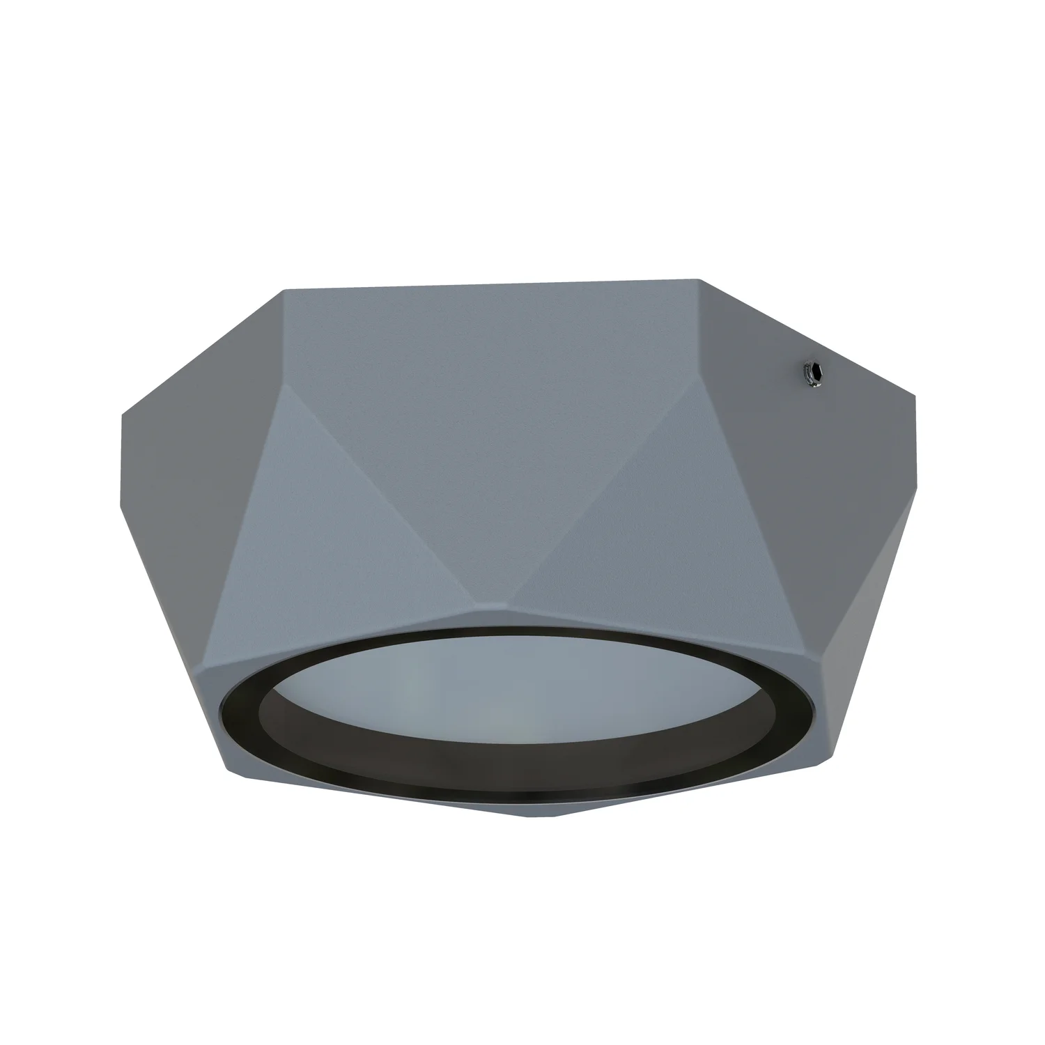 4669-1U Накладные потолочные светильники Favourite 4669-1U Fantum