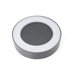 Настенные светильники Favourite 2865-1W Washer Настенные светильники Favourite 2865-1W Washer