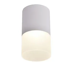 Потолочные светильники Favourite 3069-1C Naram Потолочные светильники Favourite 3069-1C Naram