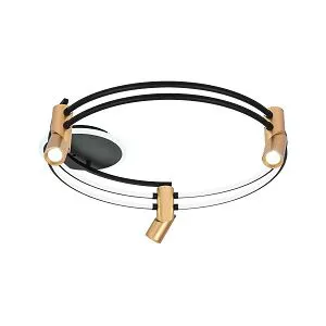 Потолочные светильники Favourite 4071-3U Cosmical