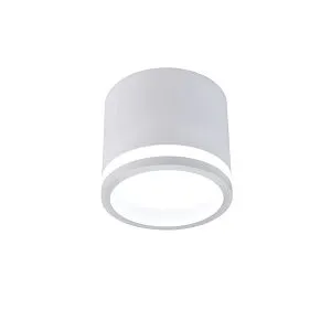 Накладные потолочные светильники Favourite 4213-1C Festum