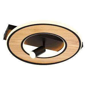 Потолочные светильники F-Promo 4438-2C Olika Потолочные светильники F-Promo 4438-2C Olika