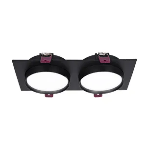 Врезные потолочные светильники Favourite 4648-2C Vasto Врезные потолочные светильники Favourite 4648-2C Vasto