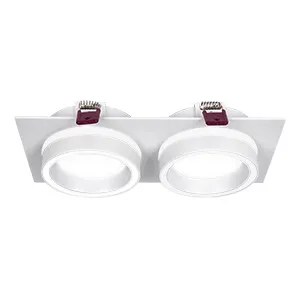 Врезные потолочные светильники Favourite 4650-2C Vasto Врезные потолочные светильники Favourite 4650-2C Vasto