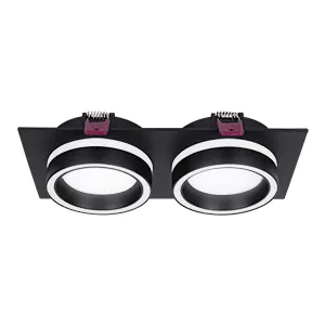 Врезные потолочные светильники Favourite 4651-2C Vasto Врезные потолочные светильники Favourite 4651-2C Vasto