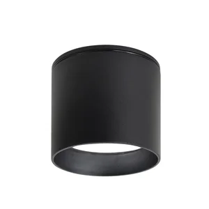 Накладные потолочные светильники Favourite 4661-1U Fantum Накладные потолочные светильники Favourite 4661-1U Fantum