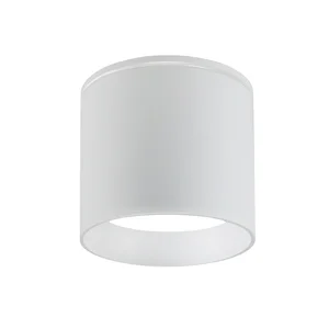 Накладные потолочные светильники Favourite 4662-1U Fantum Накладные потолочные светильники Favourite 4662-1U Fantum