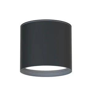 Накладные потолочные светильники Favourite 4663-1U Fantum Накладные потолочные светильники Favourite 4663-1U Fantum