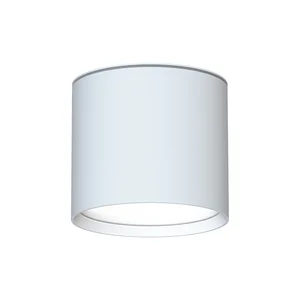 Накладные потолочные светильники Favourite 4664-1U Fantum Накладные потолочные светильники Favourite 4664-1U Fantum