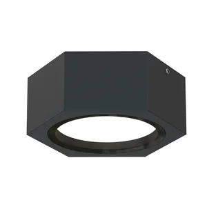 Накладные потолочные светильники Favourite 4667-1U Fantum Накладные потолочные светильники Favourite 4667-1U Fantum