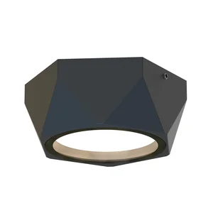 Накладные потолочные светильники Favourite 4670-1U Fantum Накладные потолочные светильники Favourite 4670-1U Fantum