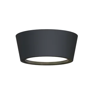 Накладные потолочные светильники Favourite 4675-1U Fantum Накладные потолочные светильники Favourite 4675-1U Fantum