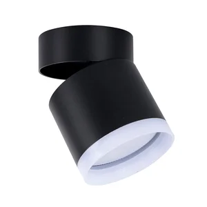 Накладные потолочные светильники Favourite 4710-1C Dixi Накладные потолочные светильники Favourite 4710-1C Dixi