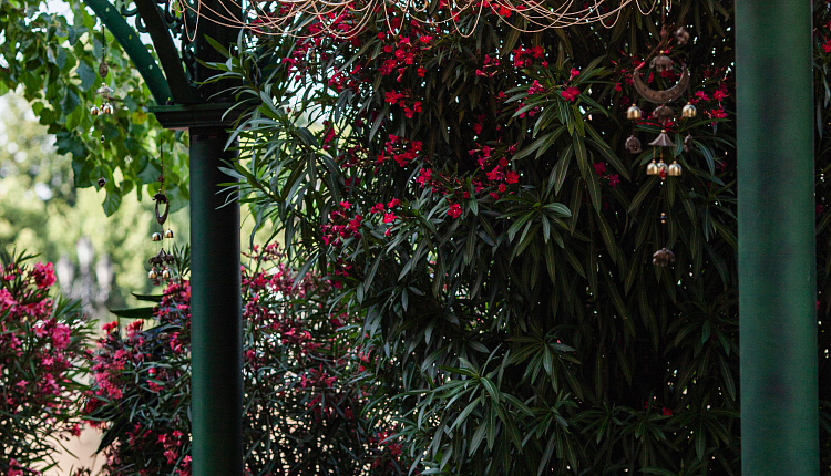 Люстры Favourite на Манежной площади Люстры Favourite на Манежной площади