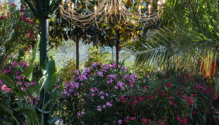 Люстры Favourite на Манежной площади Люстры Favourite на Манежной площади