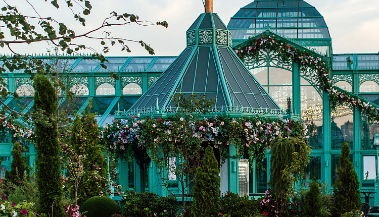 Фестивальная площадка в парке Коломенское