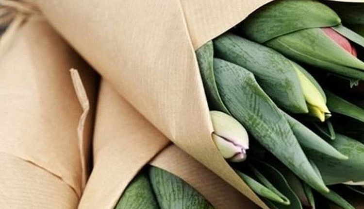 поздравляем женщин c 8 марта! поздравляем женщин c 8 марта!