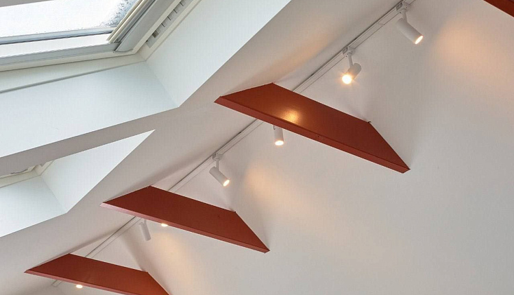 Favourite в ТВ-проекте "Дачный ответ" Favourite в ТВ-проекте "Дачный ответ"