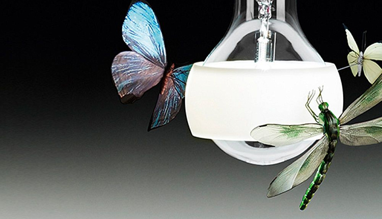 Гуру светового дизайна Гуру светового дизайна