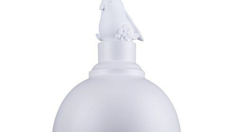 Акула и балетная туфелька