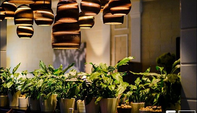 Интересные проекты с FAVOURITE Новороссийск «VOCUE CAFÉ» Интересные проекты с FAVOURITE Новороссийск «VOCUE CAFÉ»