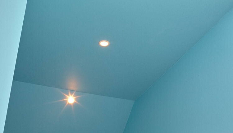 Favourite в ТВ-проекте "Дачный ответ" Favourite в ТВ-проекте "Дачный ответ"