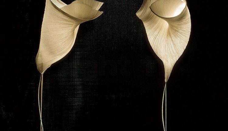 Гуру светового дизайна Гуру светового дизайна