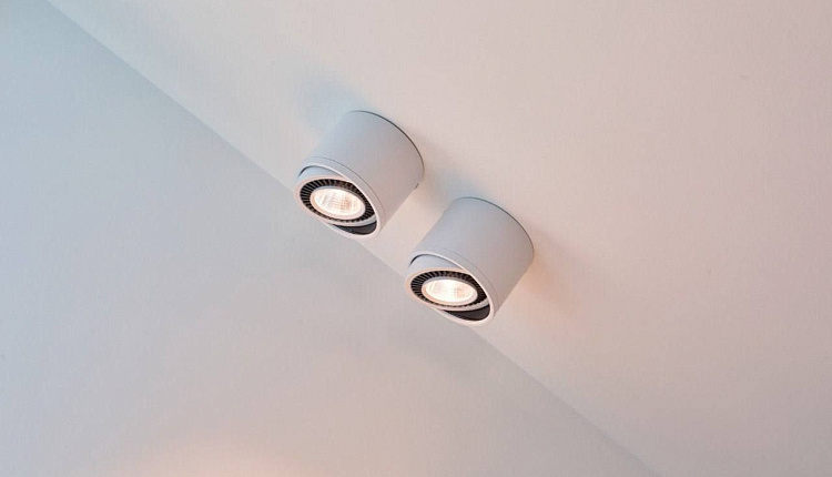 Favourite в ТВ-проекте "Дачный ответ" Favourite в ТВ-проекте "Дачный ответ"