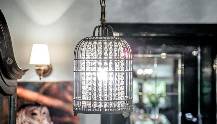 «Дачный ответ» на НТВ и FAVOURITE! «Дачный ответ» на НТВ и FAVOURITE!