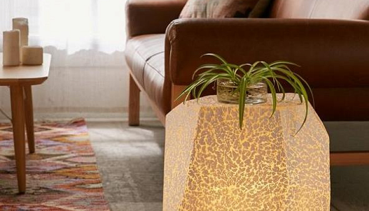 Тренды 2019 Тренды 2019