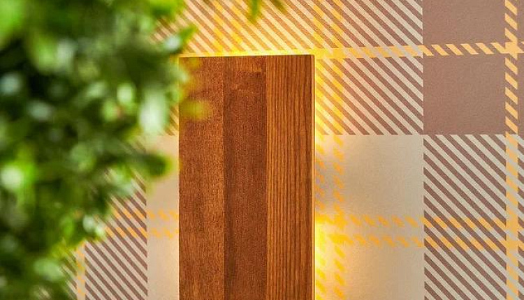 В это воскресенье в эфир телеканала МИР выйдет новый выпуск программы «Фазенда Лайф». В это воскресенье в эфир телеканала МИР выйдет новый выпуск программы «Фазенда Лайф».